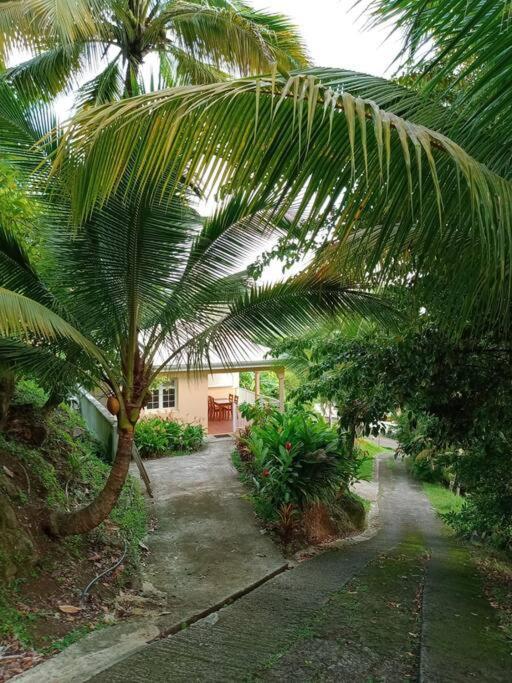 Martinique La Petite Maison Dans La Colline Le Lamentin Buitenkant foto