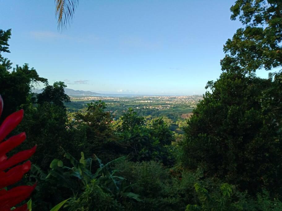 Martinique La Petite Maison Dans La Colline Le Lamentin Buitenkant foto