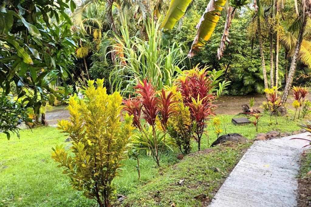Martinique La Petite Maison Dans La Colline Le Lamentin Buitenkant foto