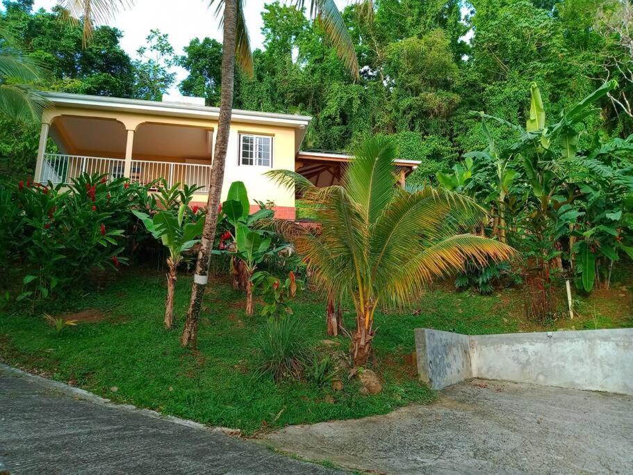 Martinique La Petite Maison Dans La Colline Le Lamentin Buitenkant foto