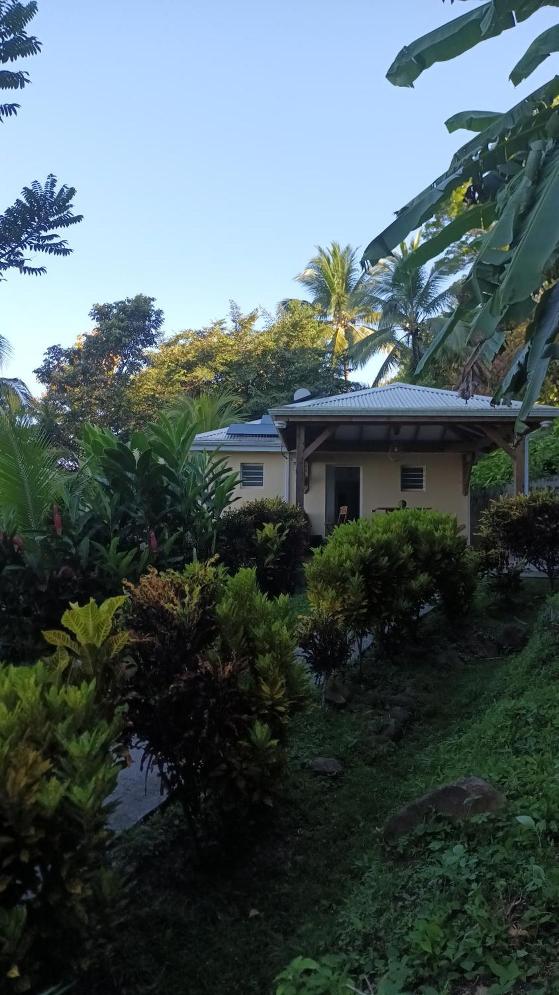 Martinique La Petite Maison Dans La Colline Le Lamentin Buitenkant foto